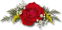rosespread123x59
